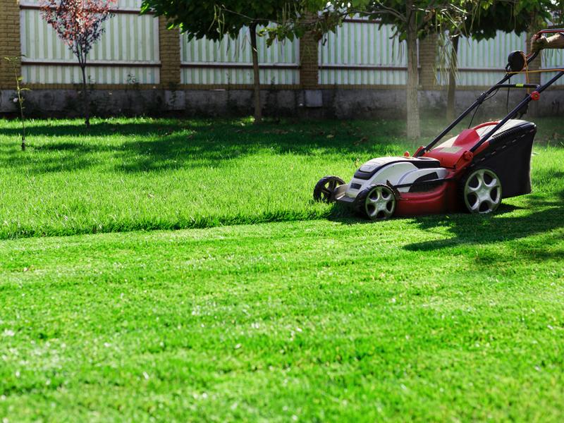 GreenScape Lawn Care photo 2