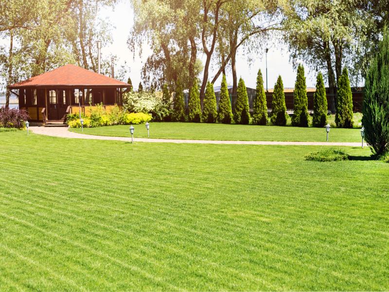 GreenScape Lawn Care photo 3